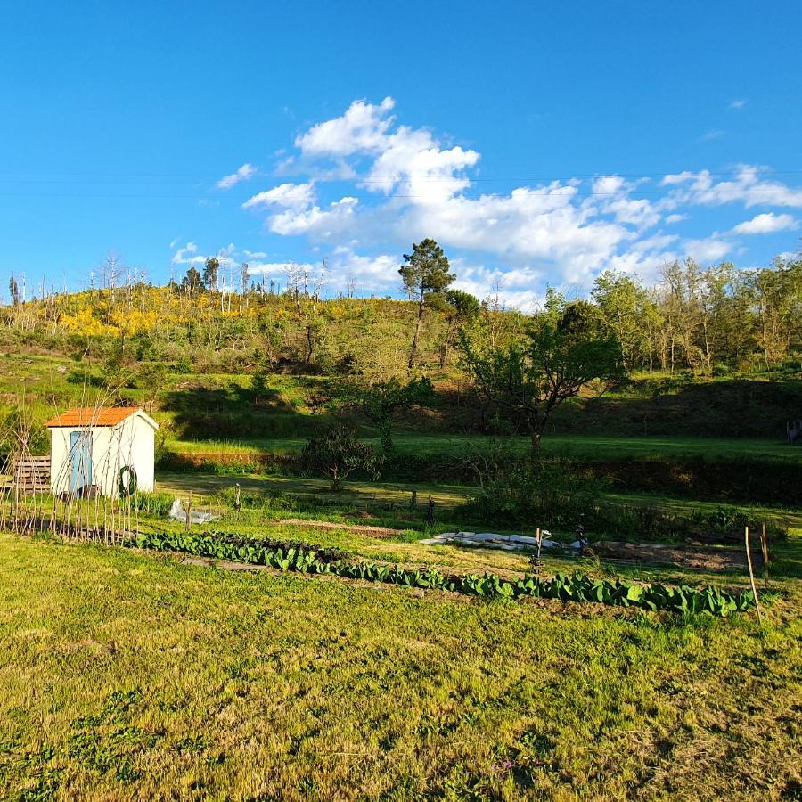 Quinta Rio De Oliveira Villa Covas  Bagian luar foto