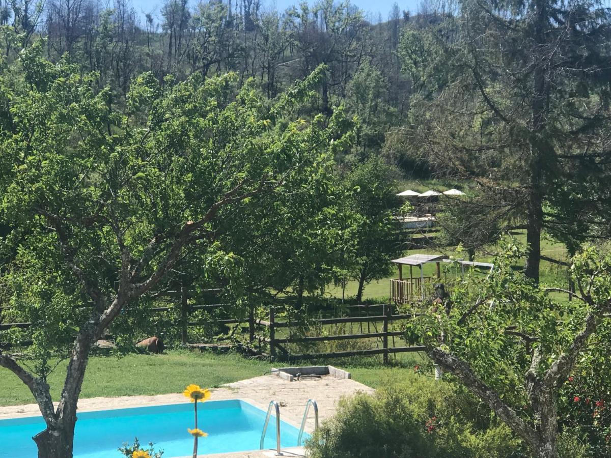 Quinta Rio De Oliveira Villa Covas  Bagian luar foto